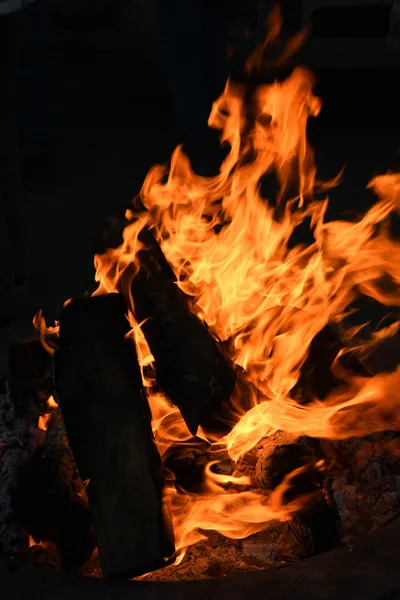 DSC_4149 (Large).JPG